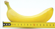 Penis Boyu