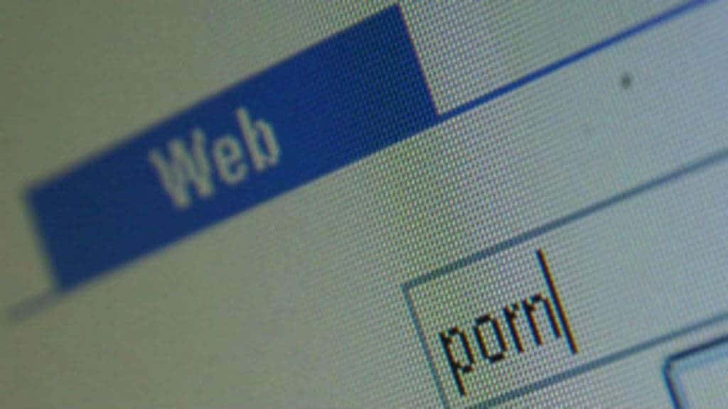 Porno ve Genelev